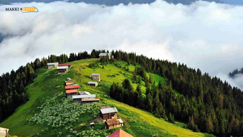 مرتفعات حيدر نبي